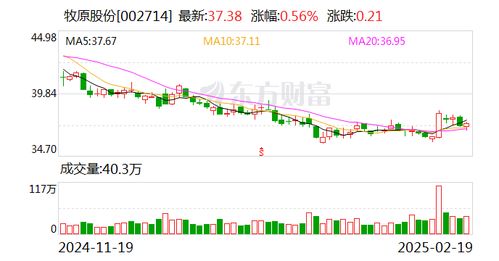 牧原股份董事長秦英林 從四方面推進(jìn)中國養(yǎng)豬業(yè)高質(zhì)量發(fā)展